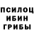 Галлюциногенные грибы прущие грибы vena rudenco