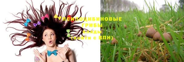 трава Богданович