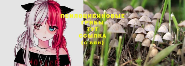 трава Богданович