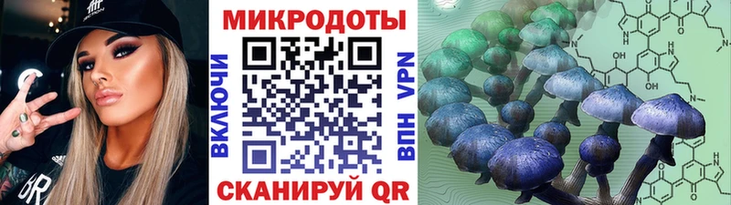 Галлюциногенные грибы Psilocybe  Княгинино 